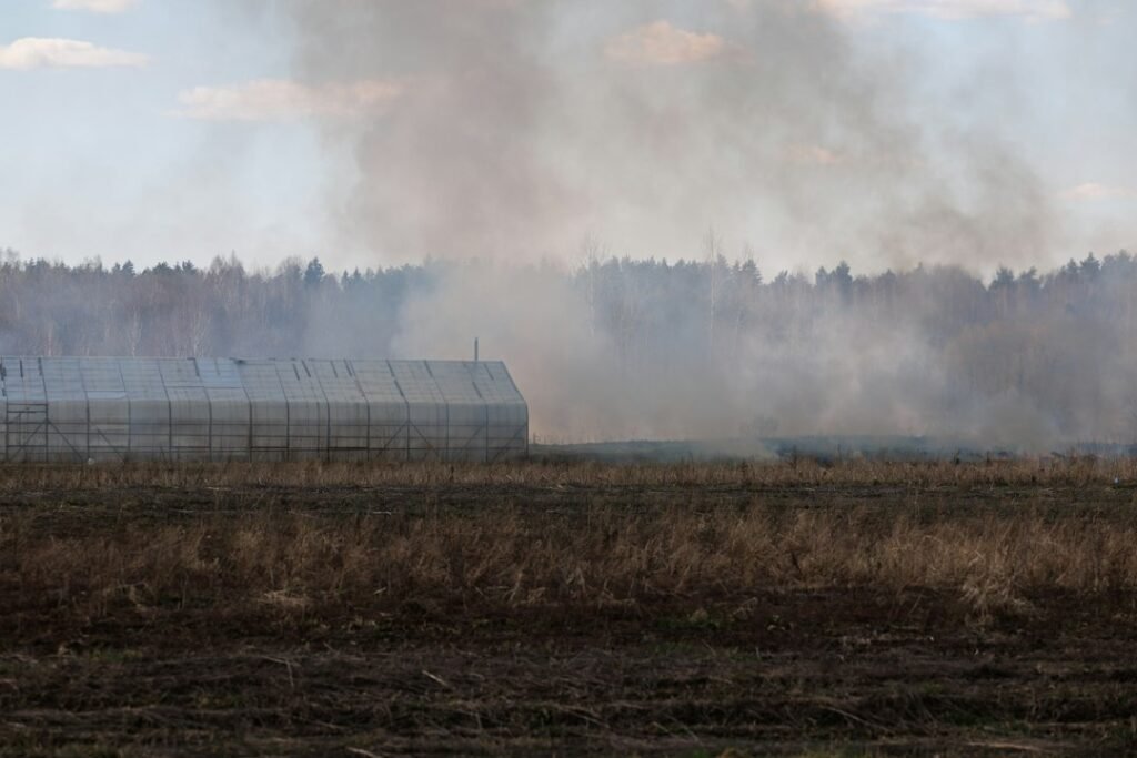 A managed low-intensity burn used to shape vegetation and reduce fuel in a traditional landscape