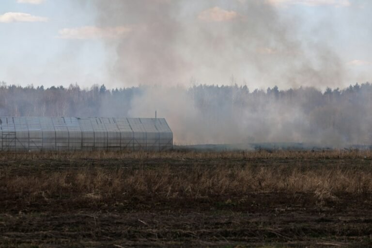 Why Did Some Traditional Landscapes Depend on Controlled Burning?