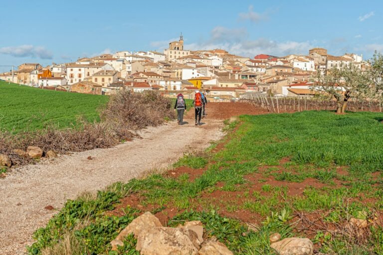Why Do Pilgrimages Appear Across Religions?