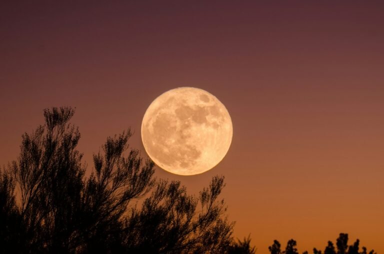 Why Did Humans Watch the Moon So Closely?