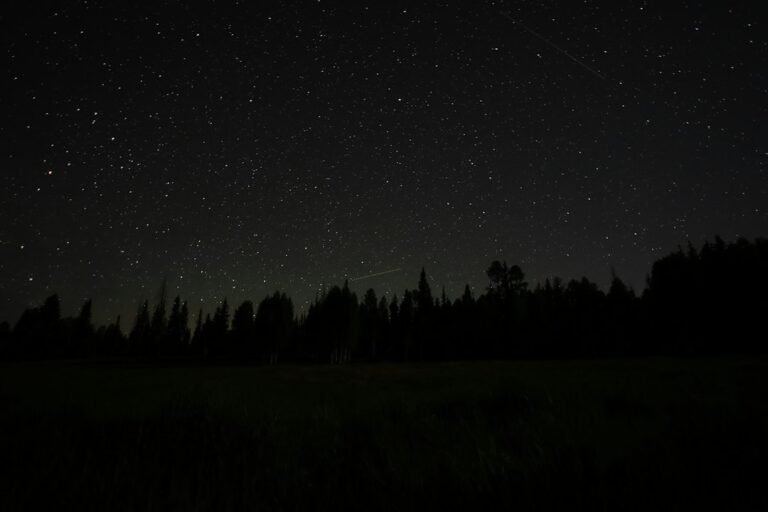 Why Did Farmers Read the Pleiades and Other Stars?