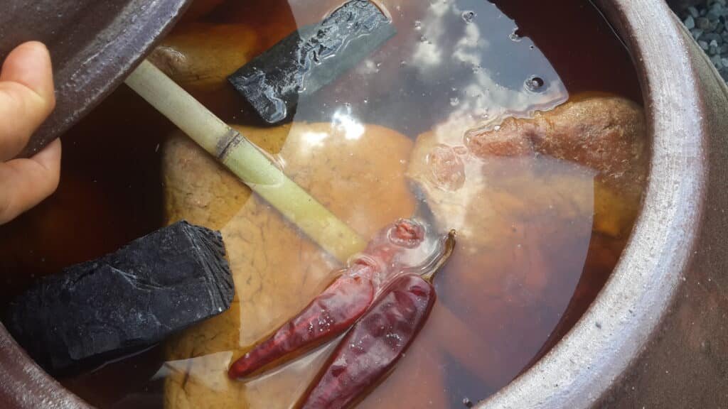 Traditional Korean doenjang fermenting in earthenware jangdok jars in Gangjin, South Korea