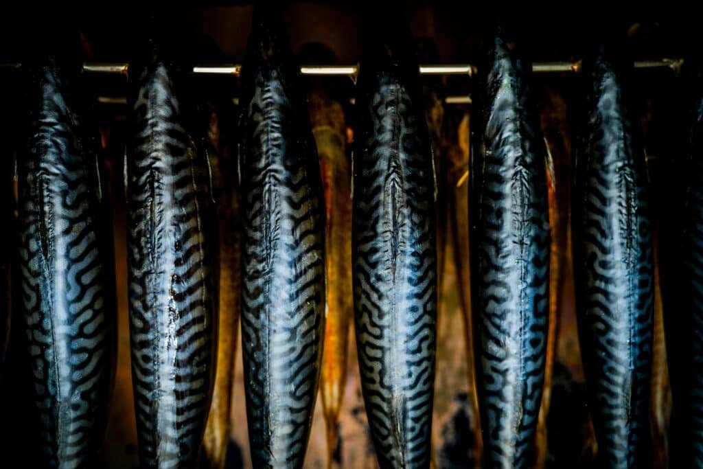 Mackerel being smoked inside a traditional food smoker