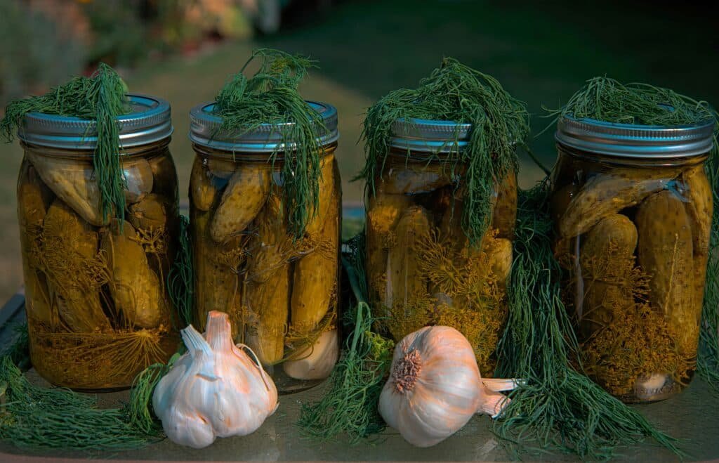 Jars of homemade pickled vegetables preserved in brine