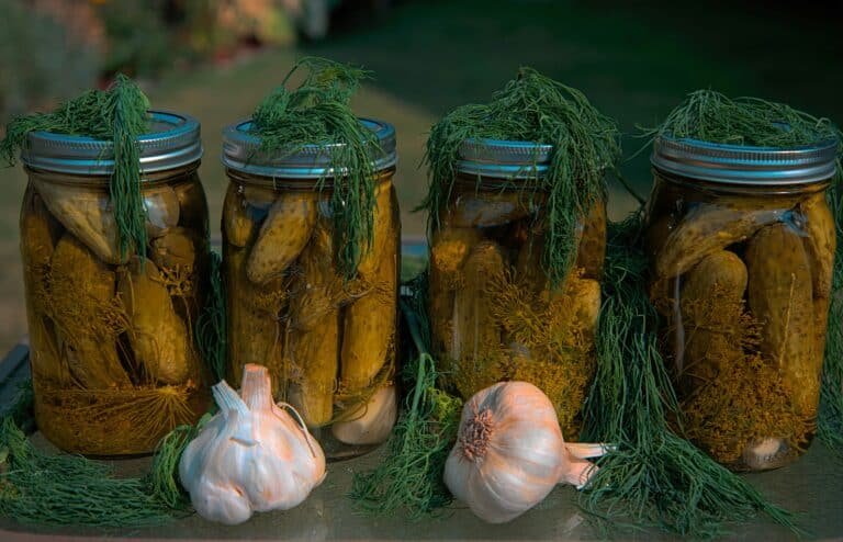 Why Did Pickling Become a Global Preservation Strategy?