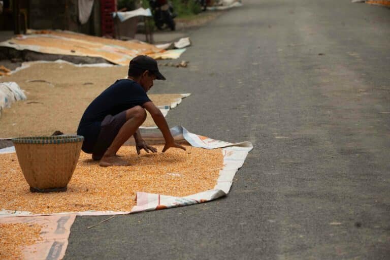 Why Did Humans Dry Food in the Sun?
